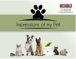 Screenshot 2014-10-08 12.27.45