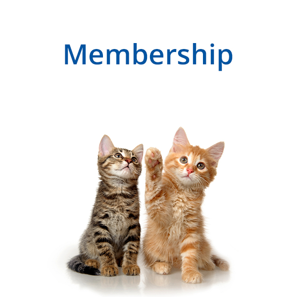 membership