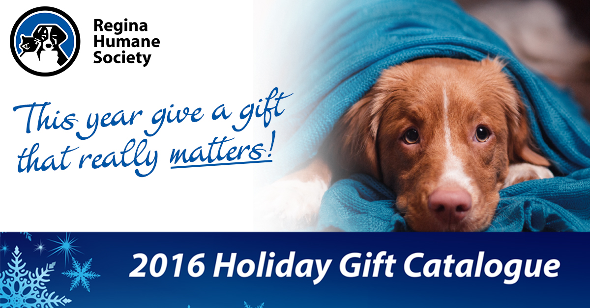 holiday-catalogue-fb-ad