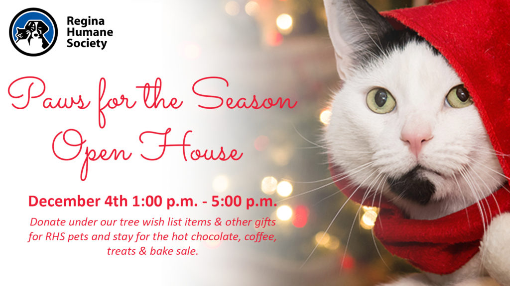 pawsopenhouse-videodisplay-and-fb