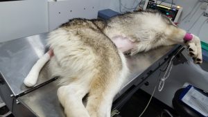 20190130_132809-300x169