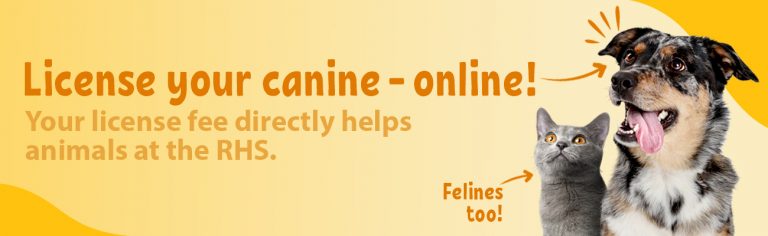 Online Pet Licenses